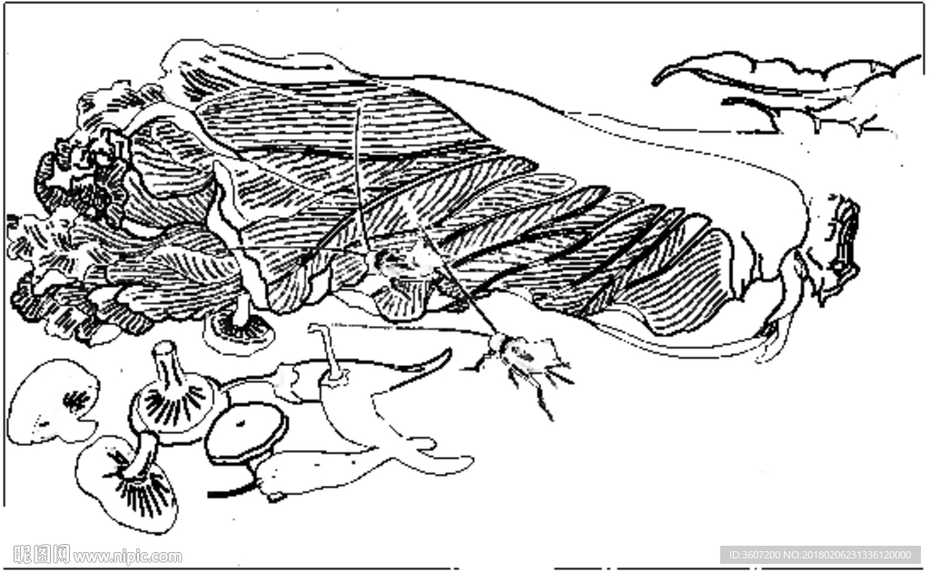 草虫 素描 白描 线描 国画稿