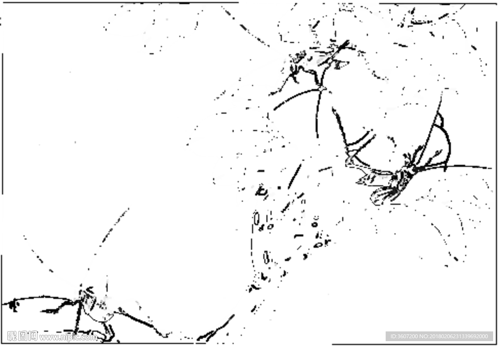 草虫 素描 白描 线描 国画稿