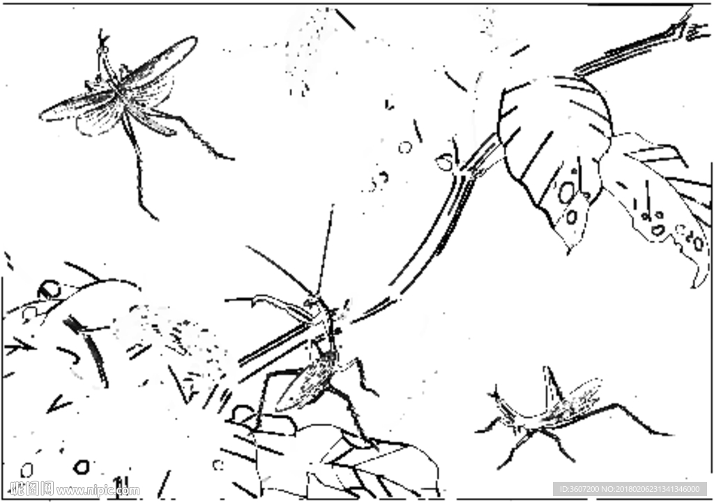 草虫 素描 白描 线描 国画稿