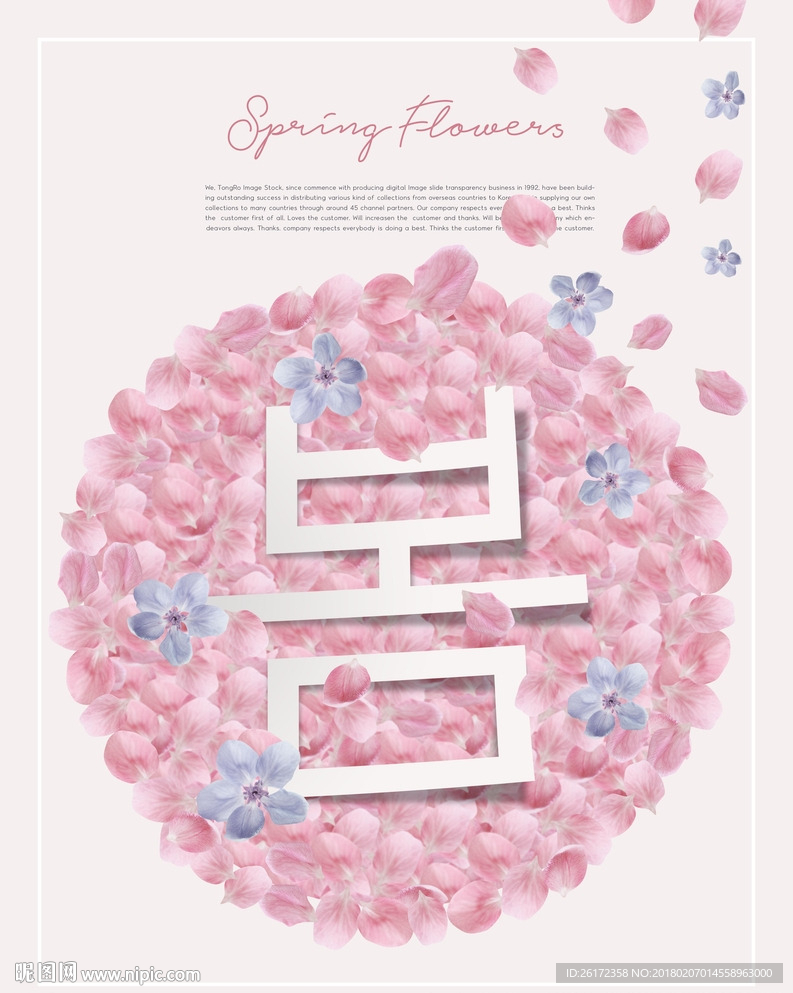 清新粉色花瓣春天促销宣传海报