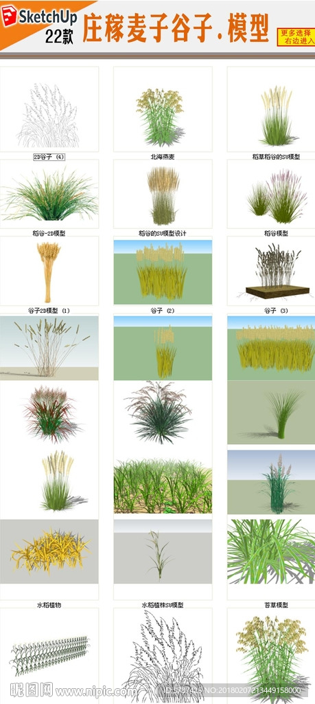 庄稼植物模型
