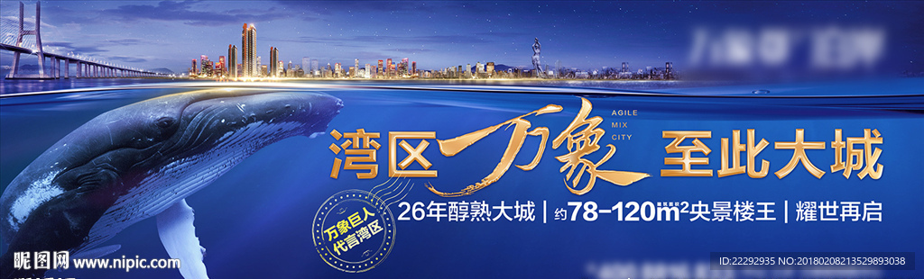 鲸鱼城市户外
