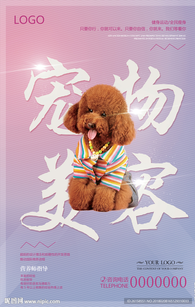 宠物美容