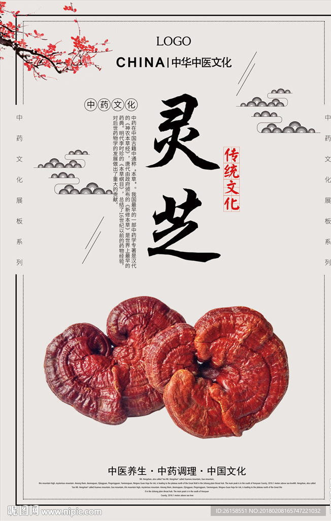 灵芝