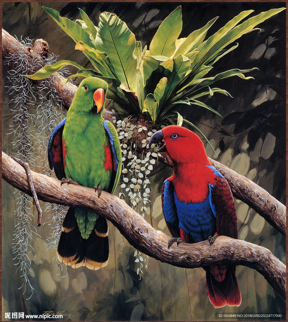手绘热带雨林鹦鹉