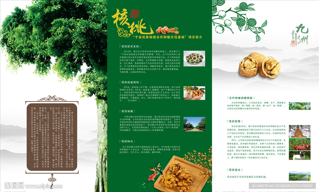 园林绿化核桃折页