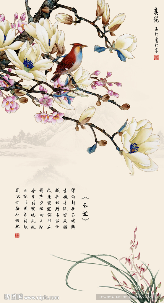 玉兰玄关背景底纹素材