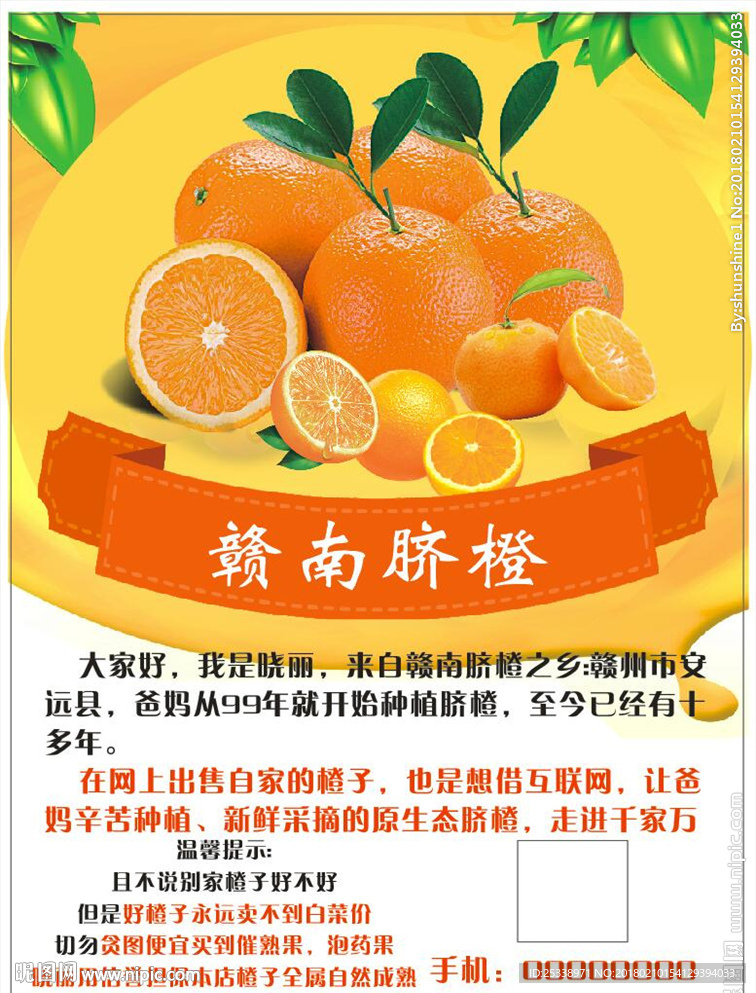 脐橙 橙子 橘子水果 桔子