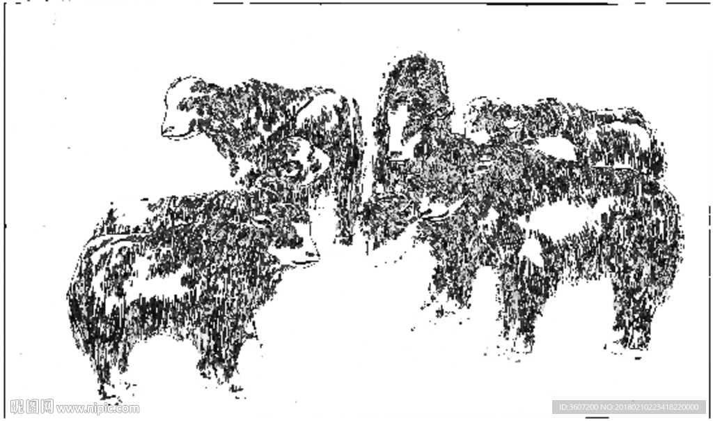 牦牛 线描 素描 白描 国画