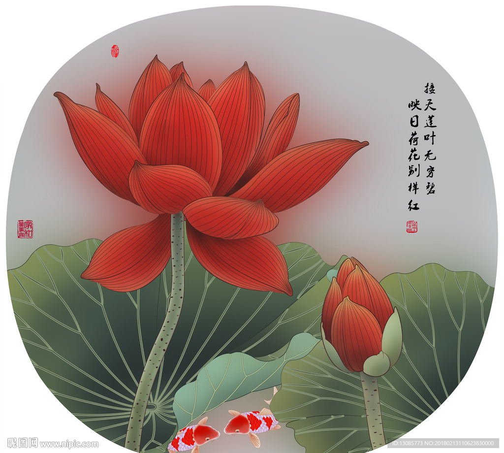 荷花团扇荷韵