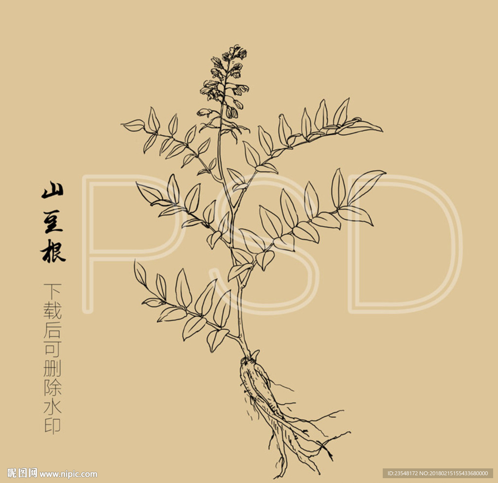 山豆根