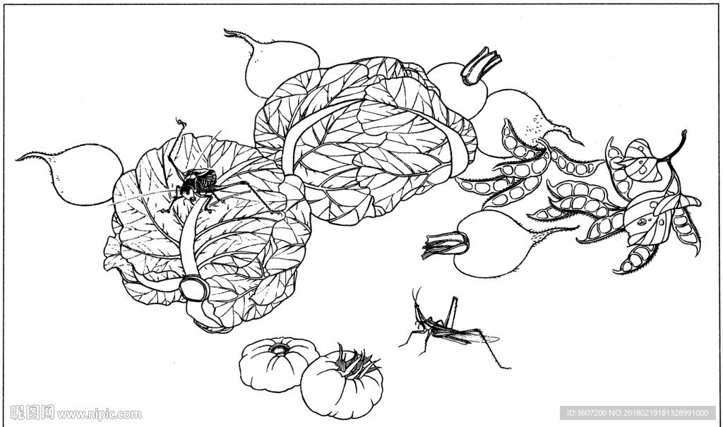 草虫 素描 线描 白描 国画