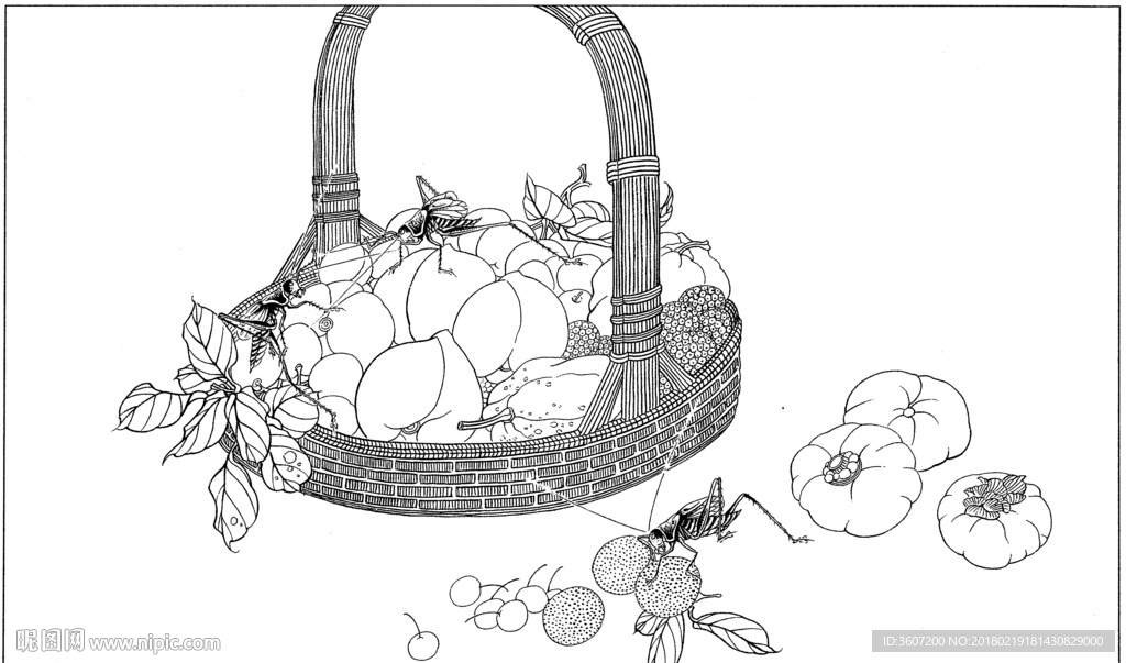 草虫 素描 线描 白描 国画
