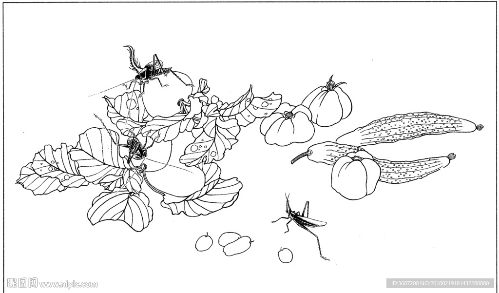 草虫 素描 线描 白描 国画