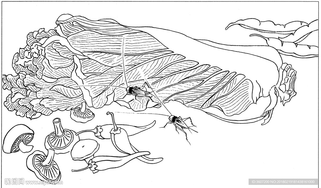 草虫 素描 线描 白描 国画