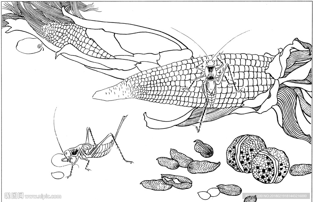 草虫 素描 线描 白描 国画