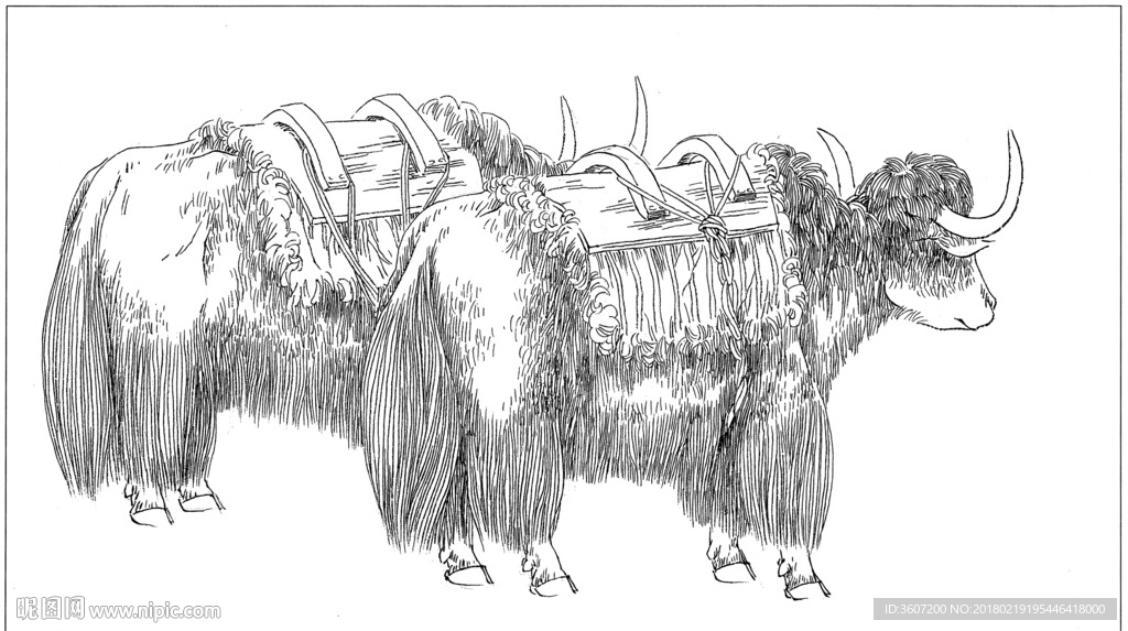 牦牛 线描 素描 白描 国画