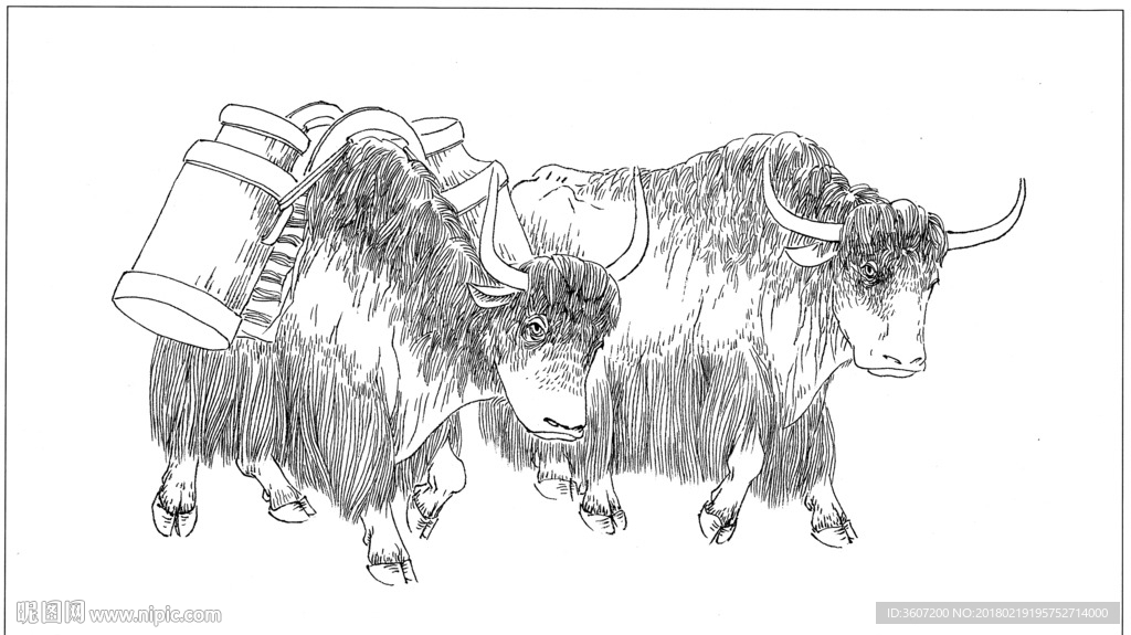 牦牛 线描 素描 白描 国画