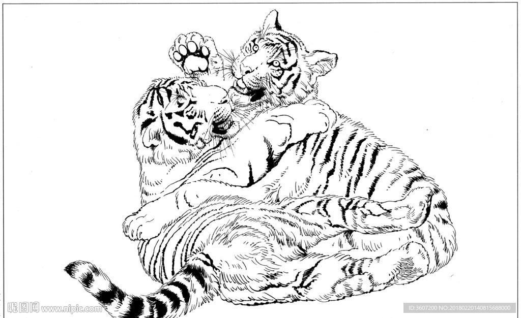 老虎 素描 白描 线描 国画
