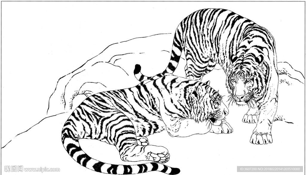 老虎 素描 白描 线描 国画