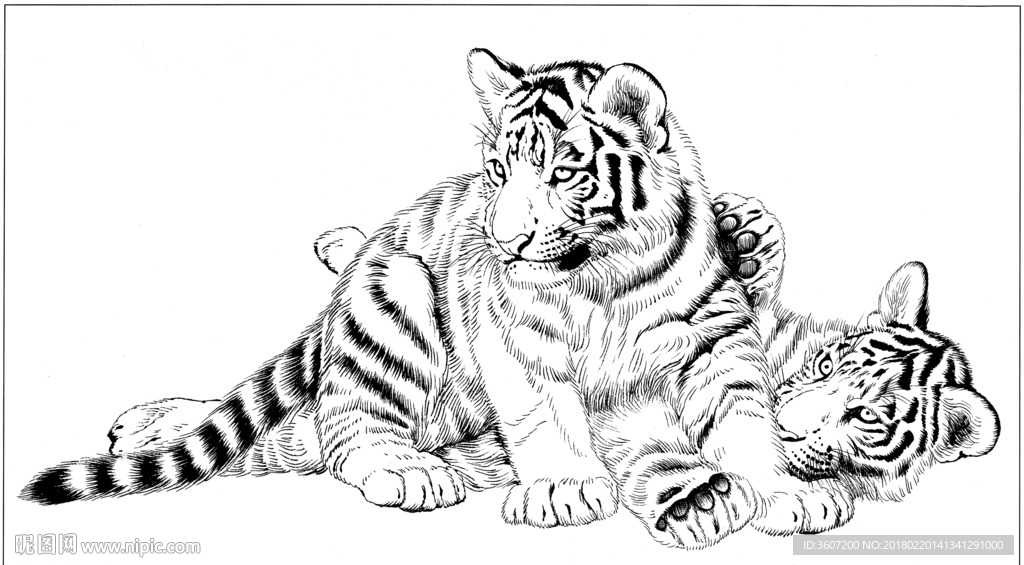 老虎 素描 白描 线描 国画