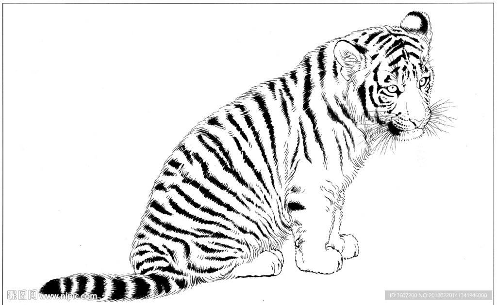老虎 素描 白描 线描 国画