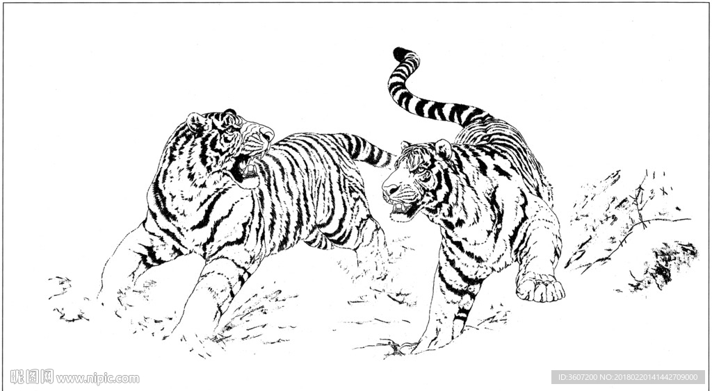 老虎 素描 白描 线描 国画