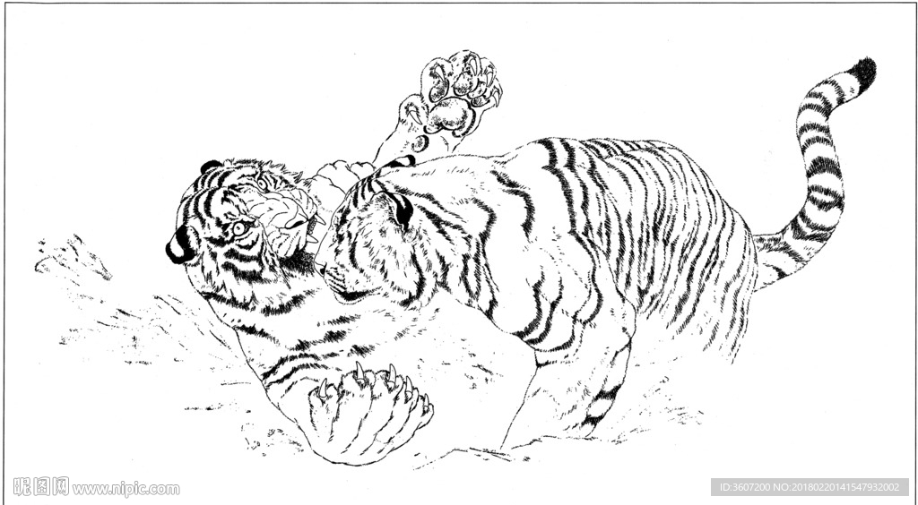 老虎 素描 白描 线描 国画