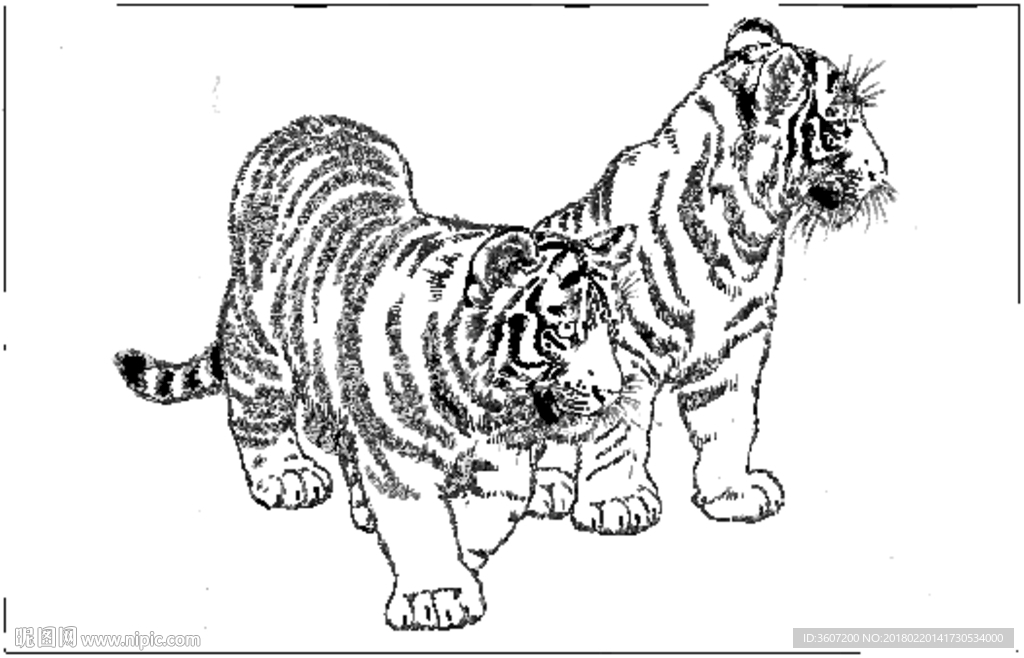 老虎 素描 白描 线描 国画