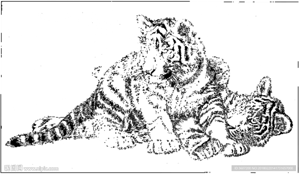 老虎 素描 白描 线描 国画