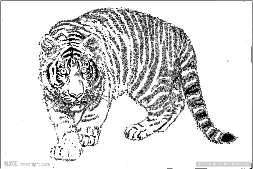 老虎 素描 白描 线描 国画