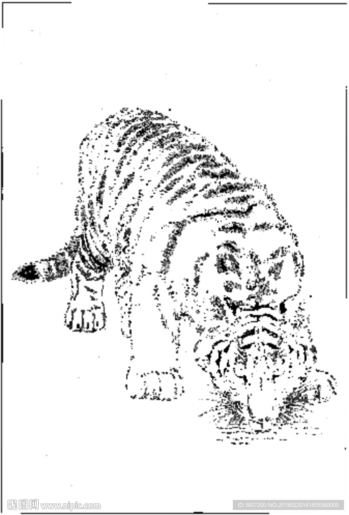 老虎 素描 白描 线描 国画