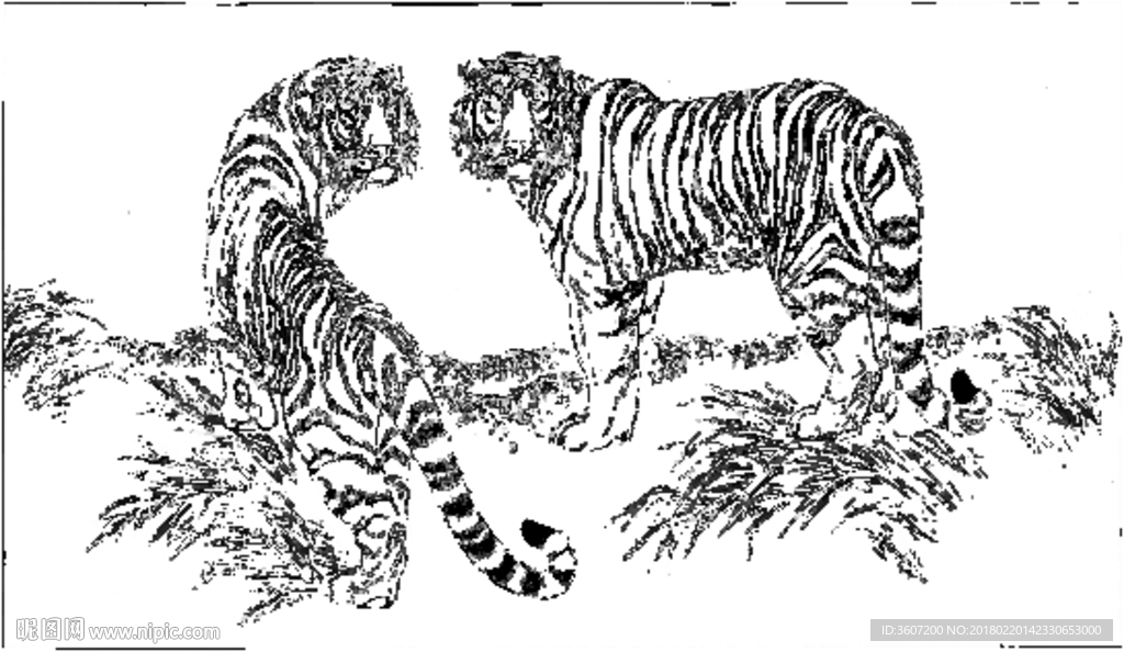 老虎 素描 白描 线描 国画