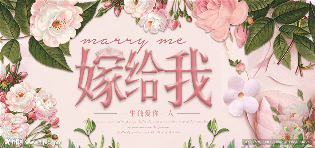 小清新求婚嫁给我海报