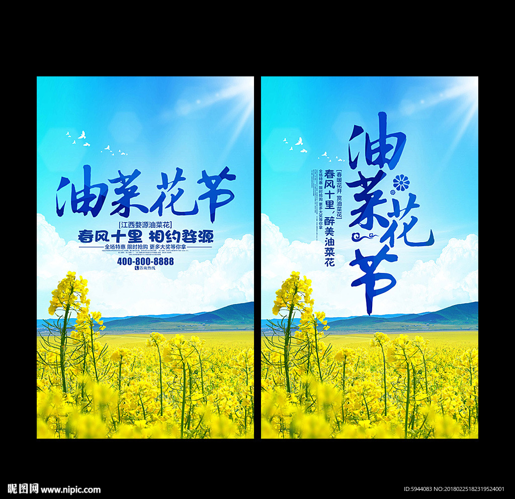 油菜花