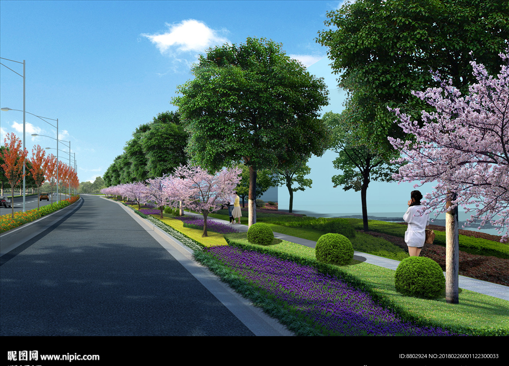 道路一侧景观效果图