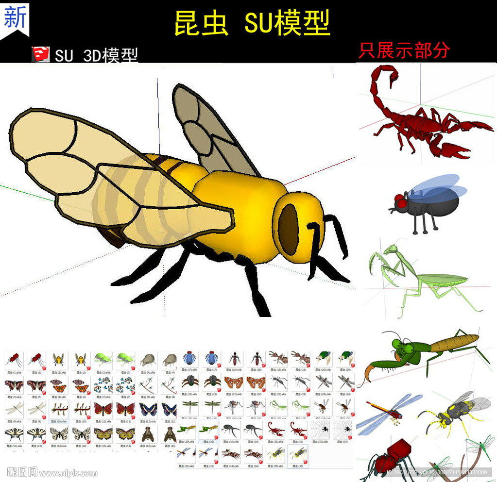 昆虫小动物甲壳虫SU模型