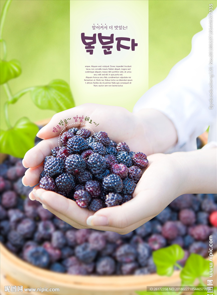 新鲜水果覆盆子树莓桑葚海报