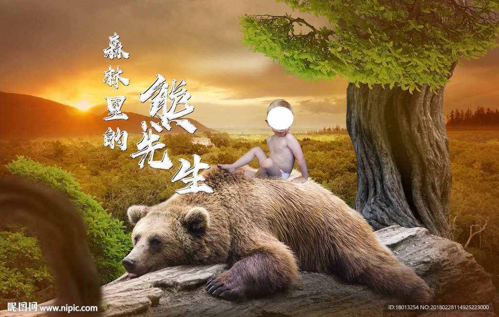 森林里的熊先生