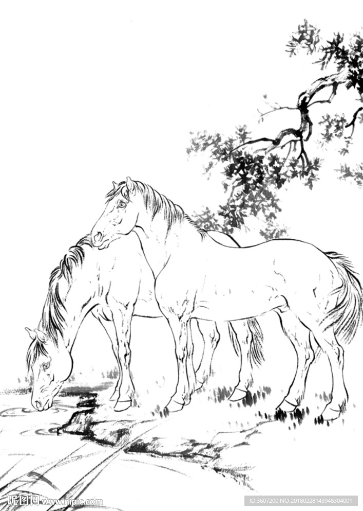 骏马 白描 素描 线描 国画
