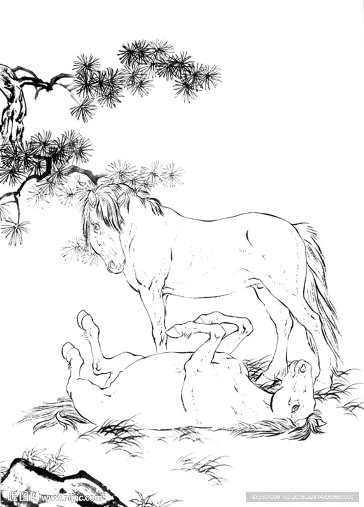 骏马 白描 素描 线描 国画