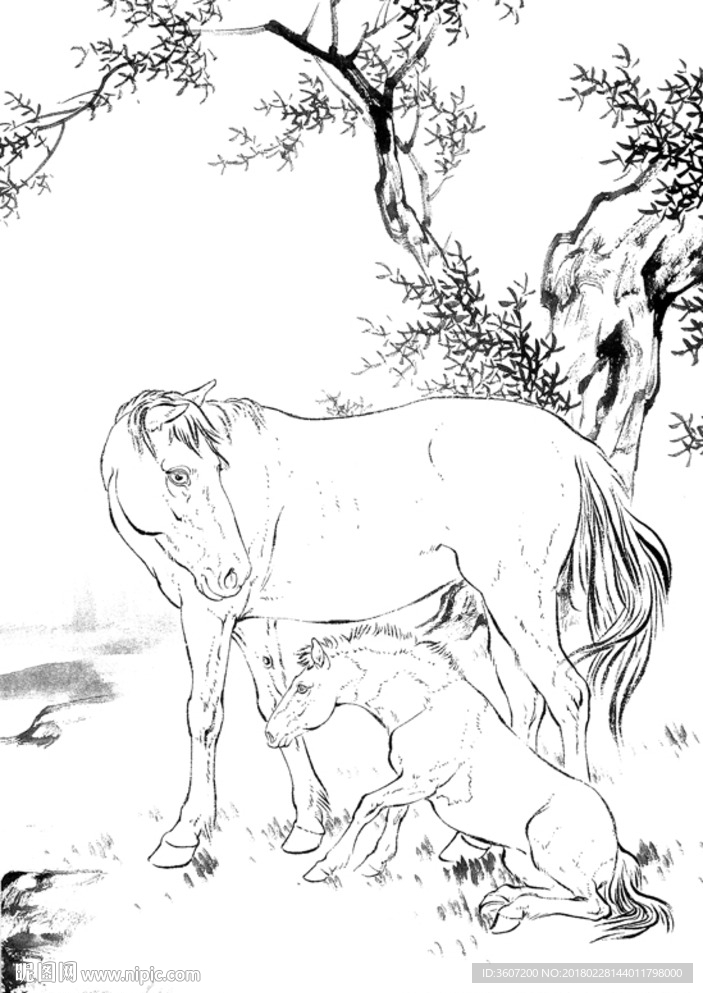 骏马 白描 素描 线描 国画