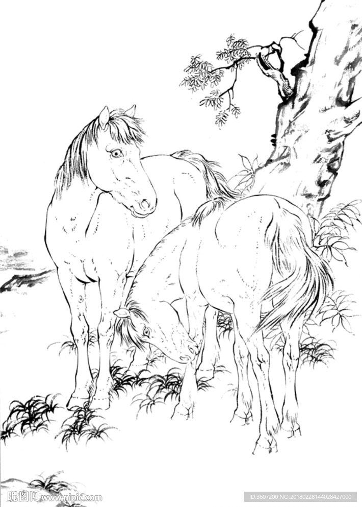 骏马 白描 素描 线描 国画