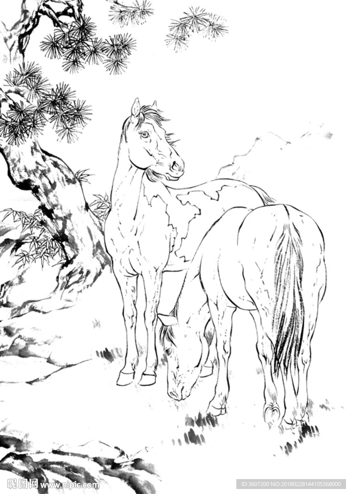 骏马 白描 素描 线描 国画