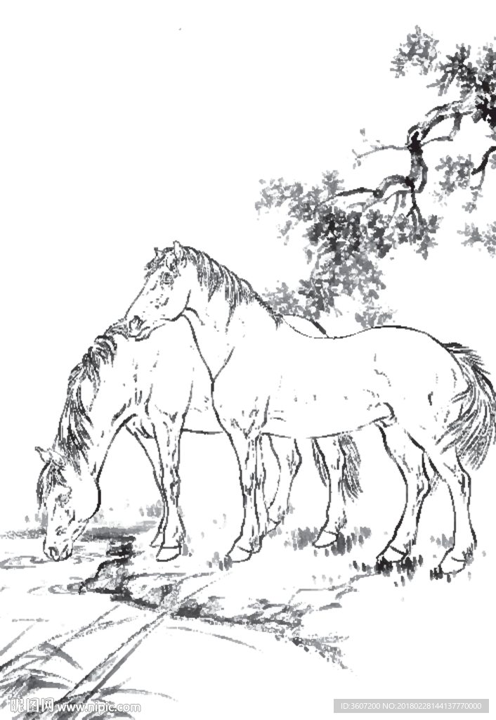 骏马 白描 素描 线描 国画