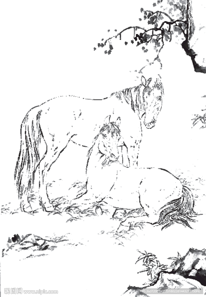 骏马 白描 素描 线描 国画
