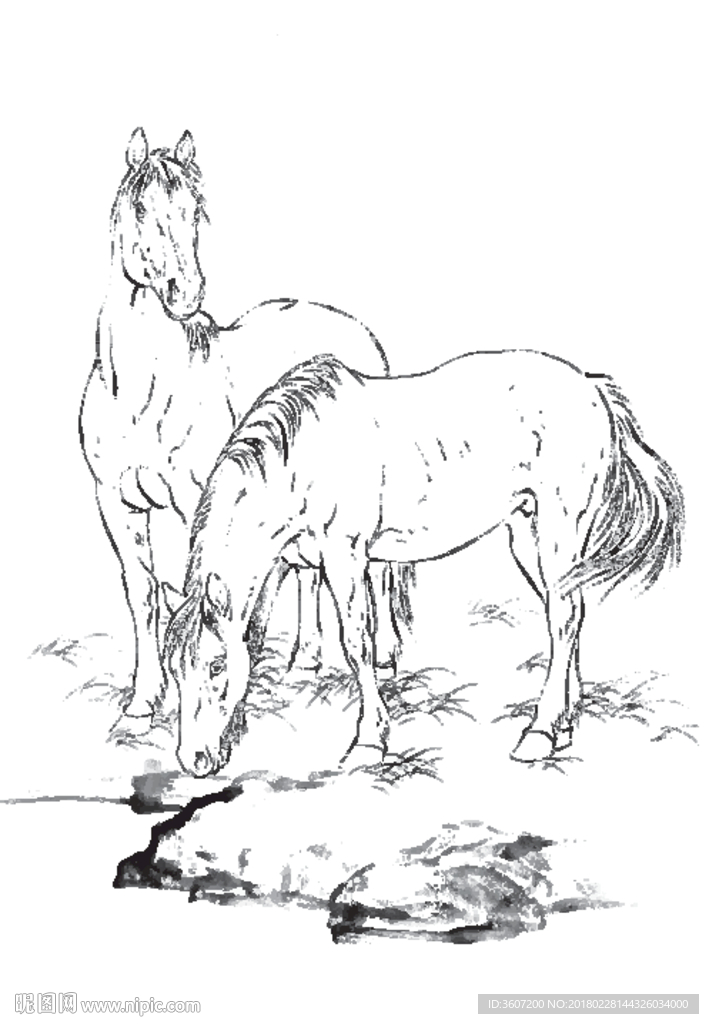 骏马 白描 素描 线描 国画