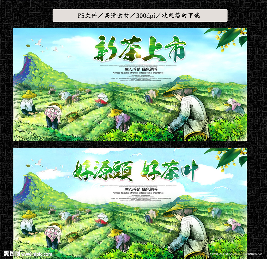 茶叶