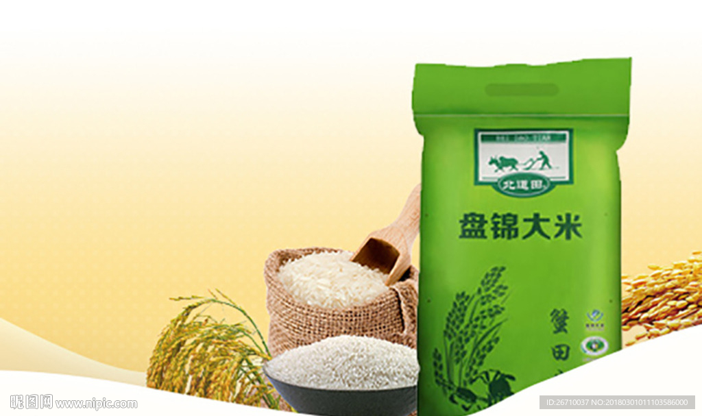 大米banner主图图片