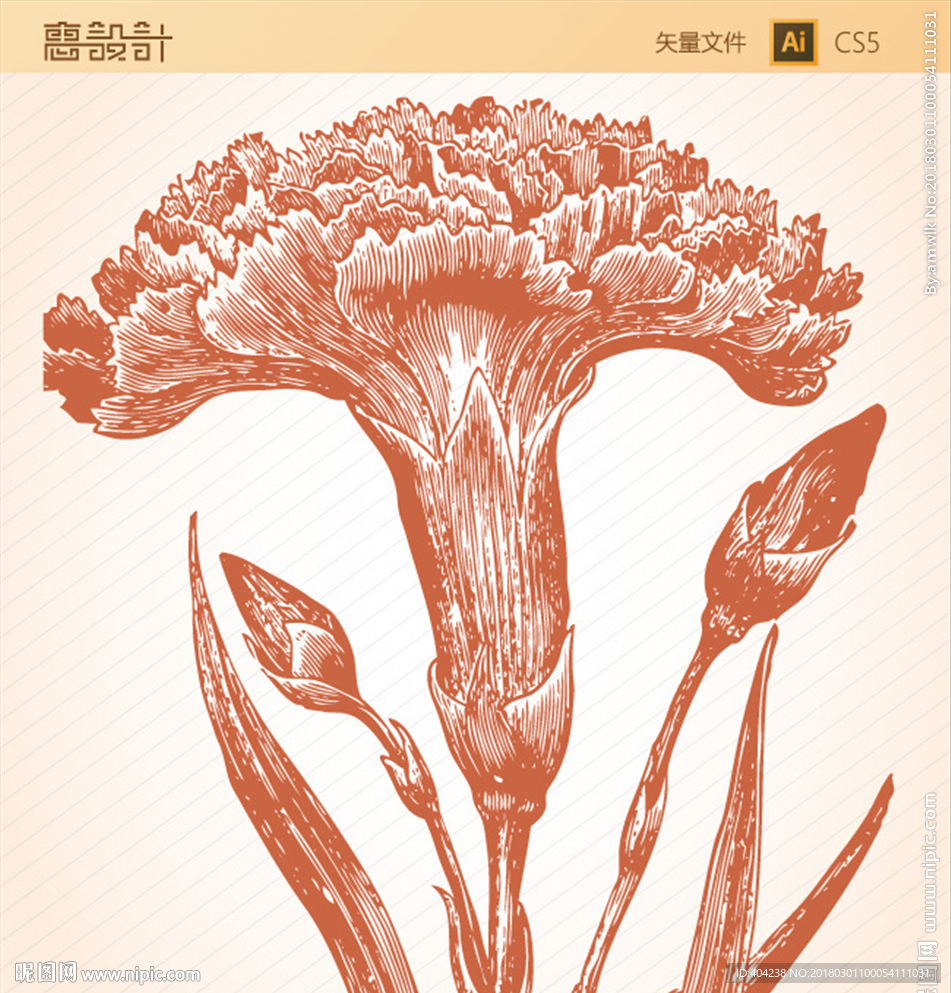 素描花朵矢量图图片